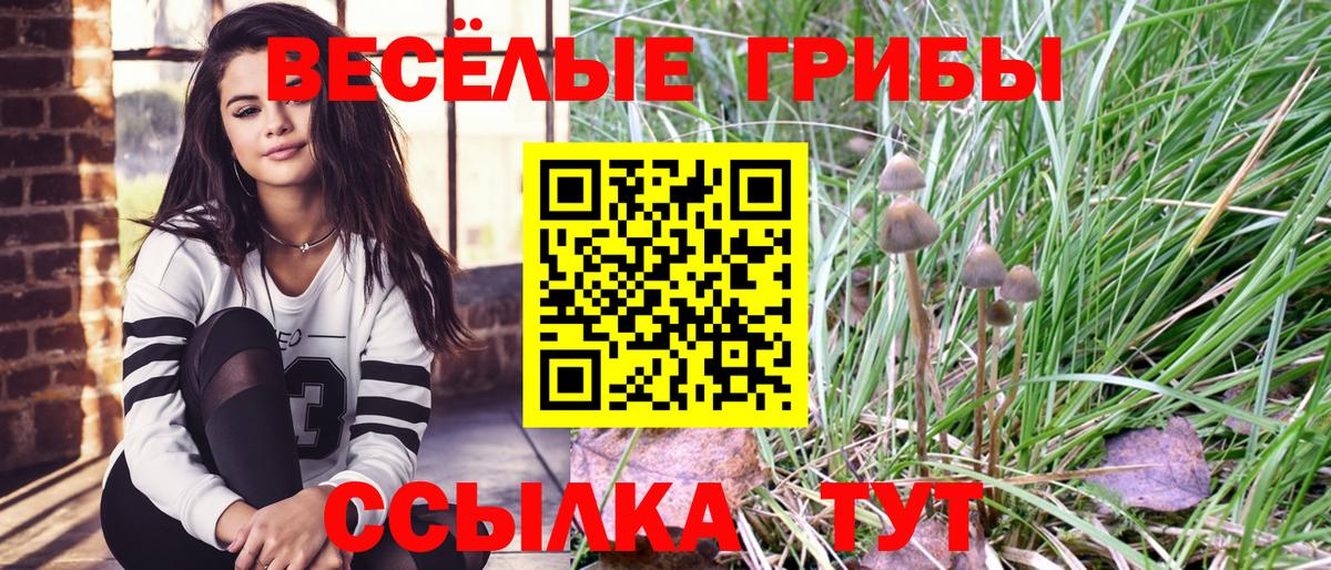 Ейск  что такое   Вход с VPN  Псилоцибиновые грибы GOLDEN TEACHER 