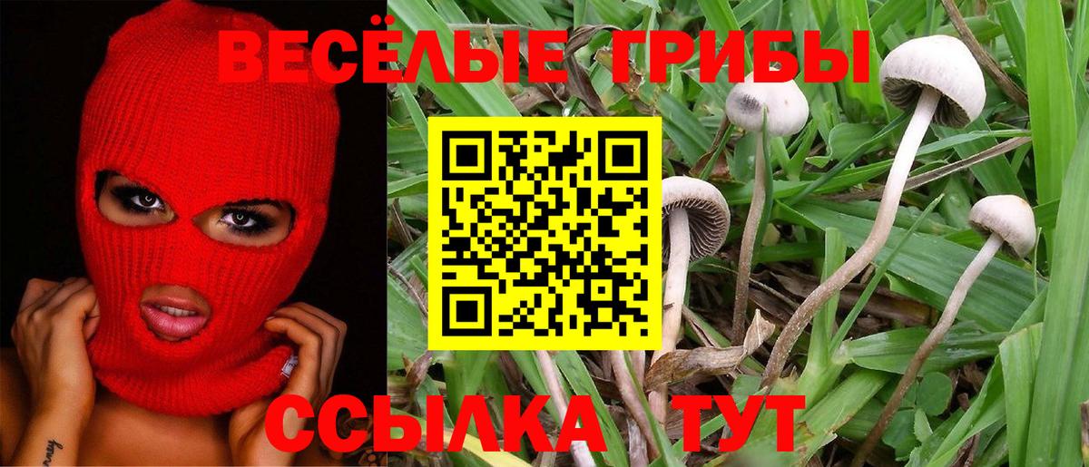 Псилоцибиновые грибы MAGIC MUSHROOMS Ейск